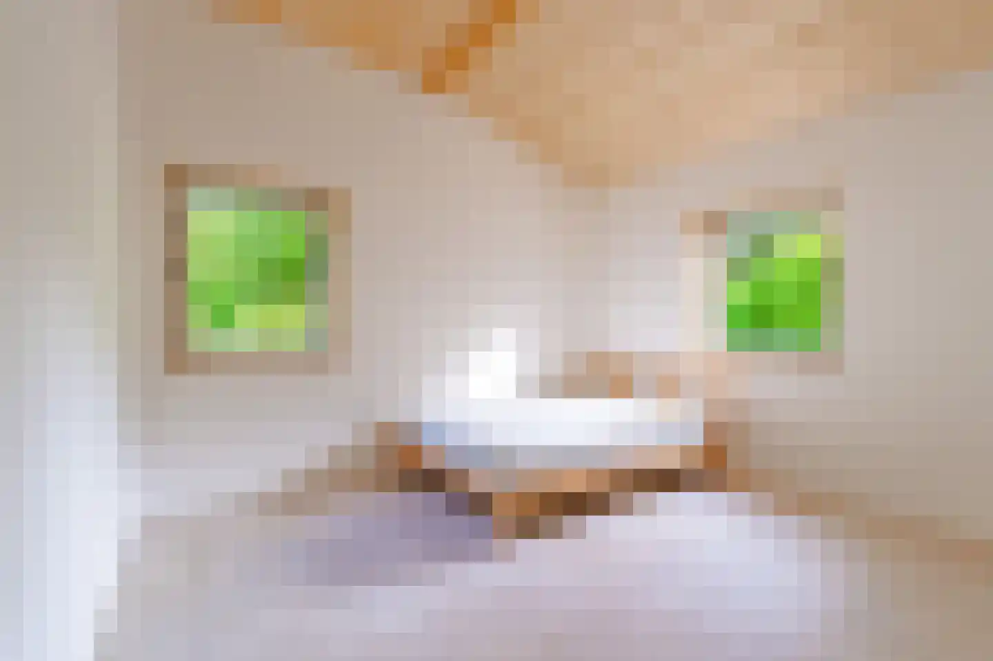 Koekangerveldweg 40 Koekange thumbnail 24