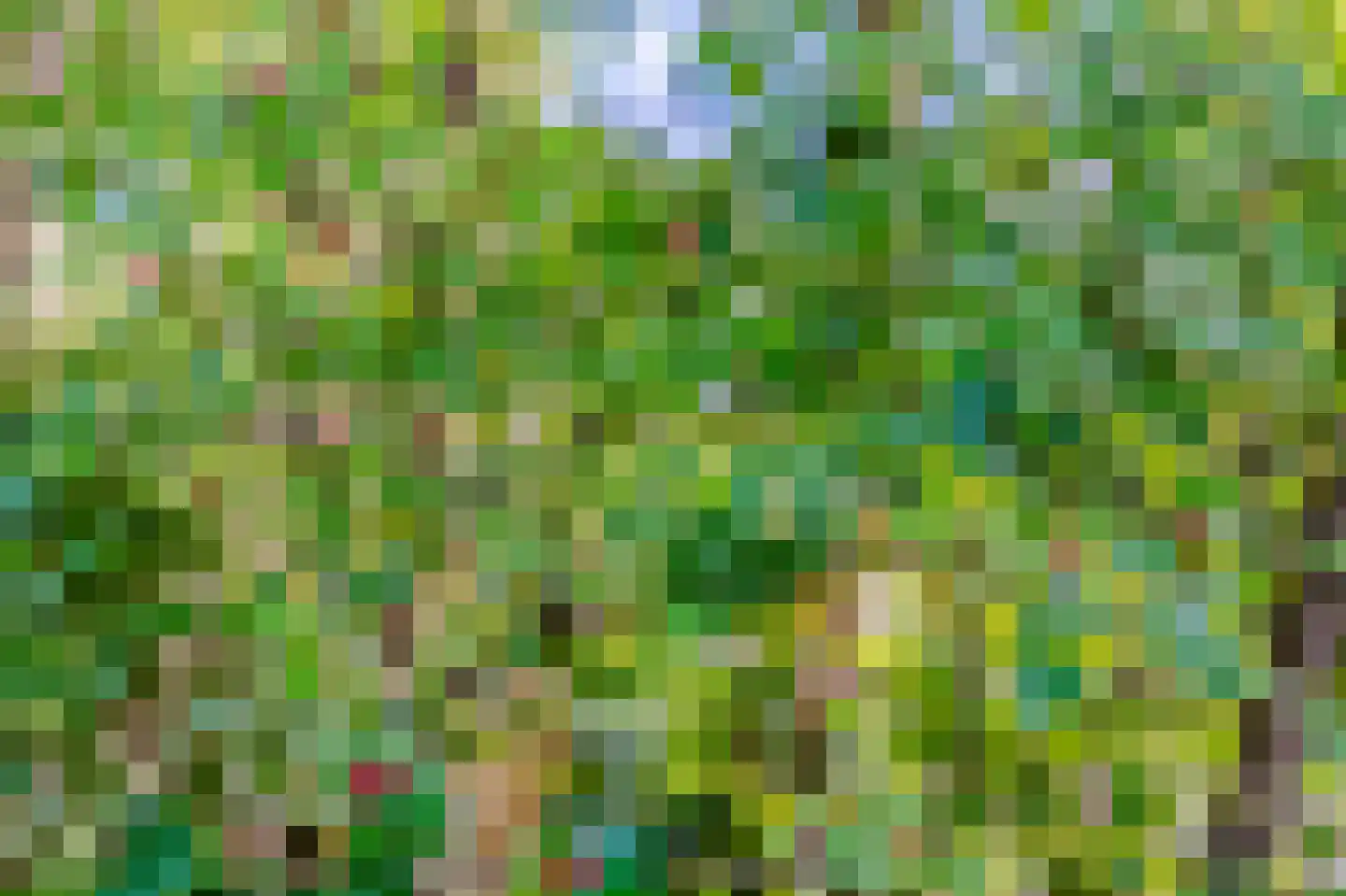 Koekangerveldweg 40 Koekange thumbnail 25
