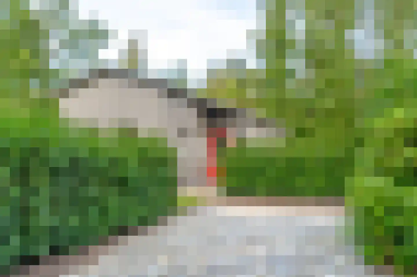 Koekangerveldweg 40 Koekange thumbnail 31