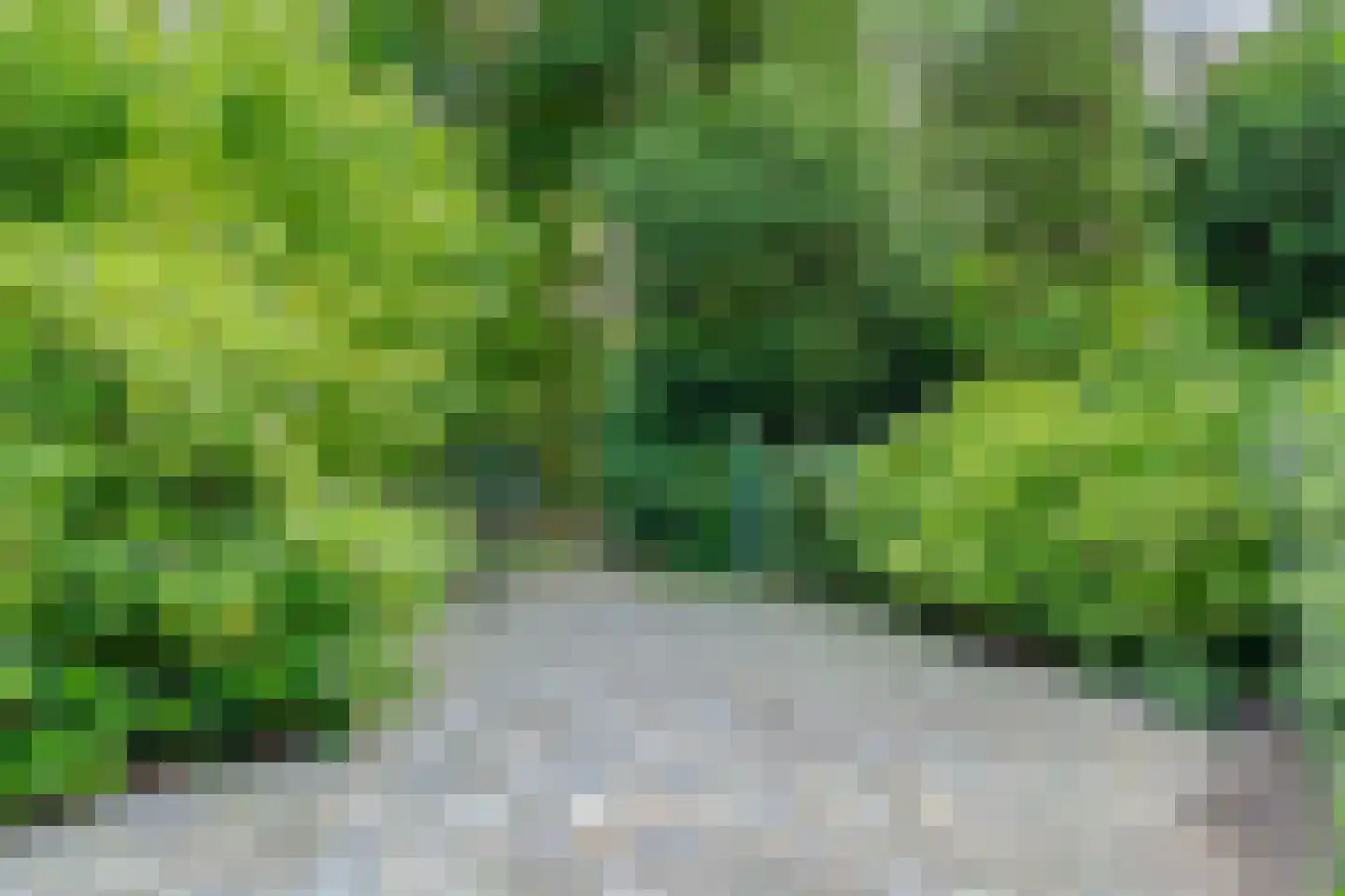Koekangerveldweg 40 Koekange thumbnail 32