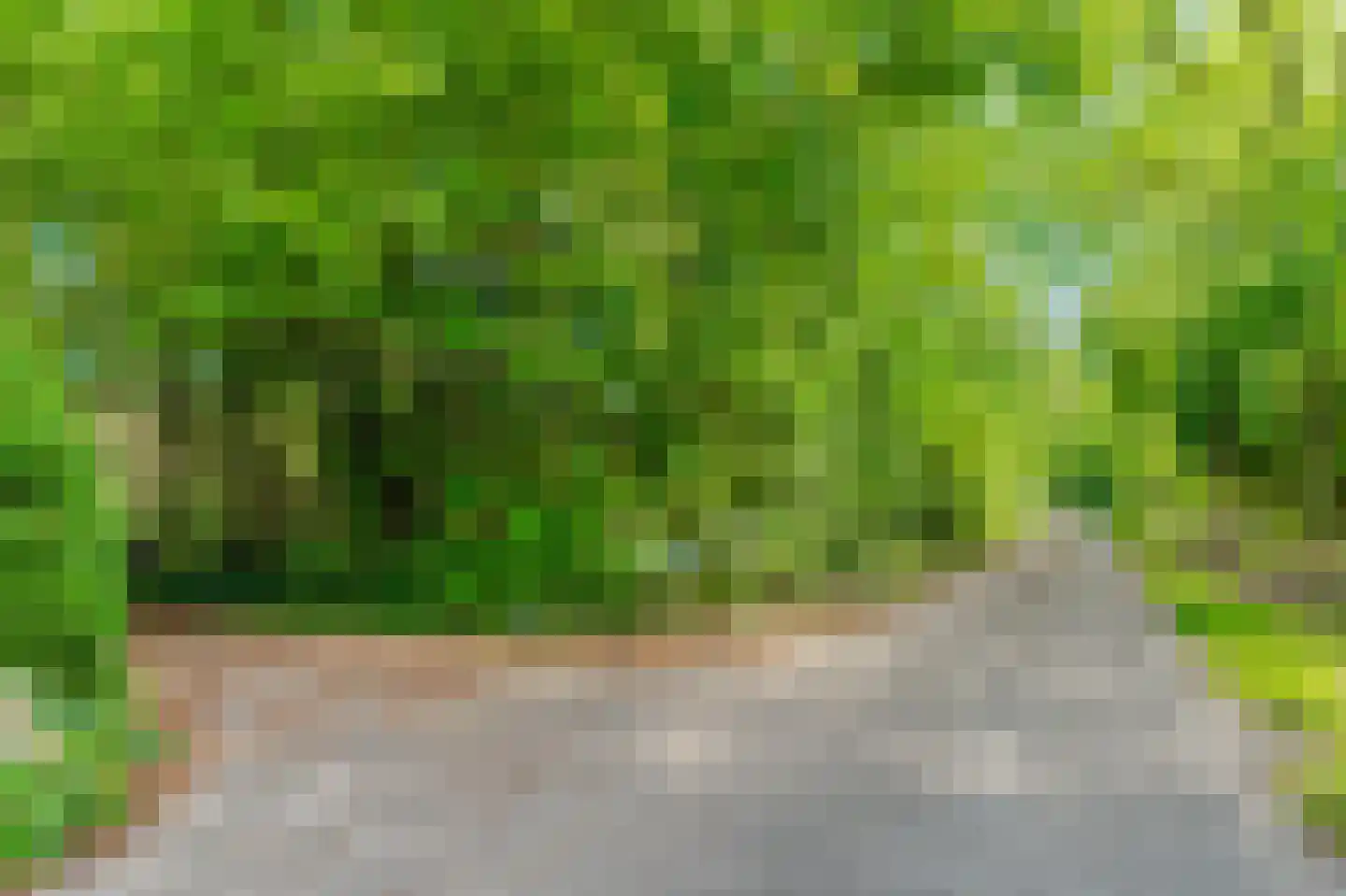 Koekangerveldweg 40 Koekange thumbnail 35