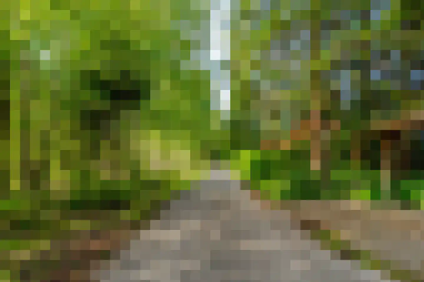 Koekangerveldweg 40 Koekange thumbnail 37