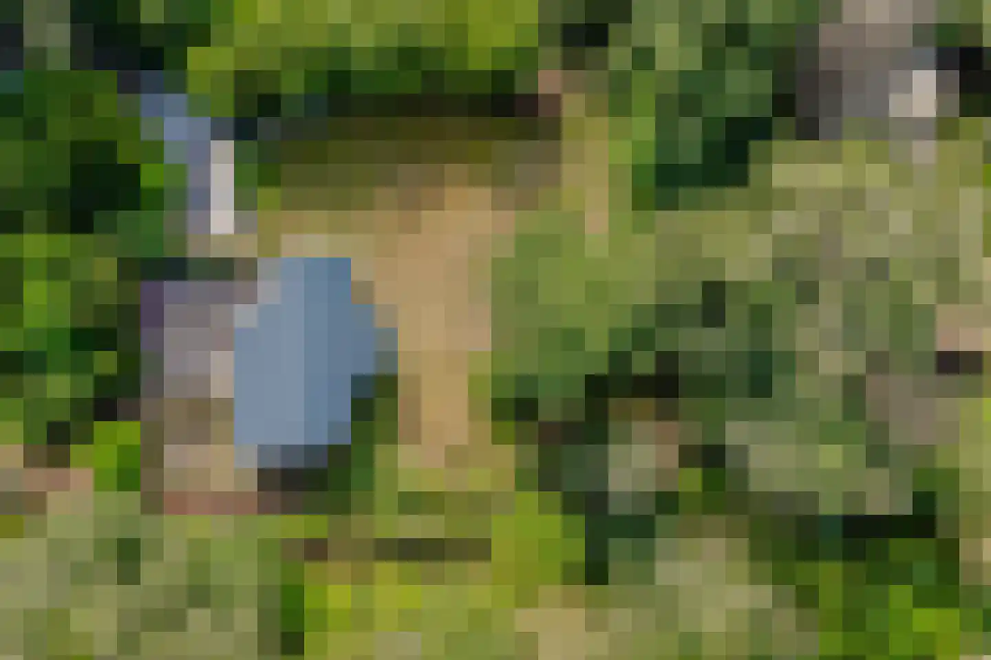 Koekangerveldweg 40 Koekange thumbnail 38