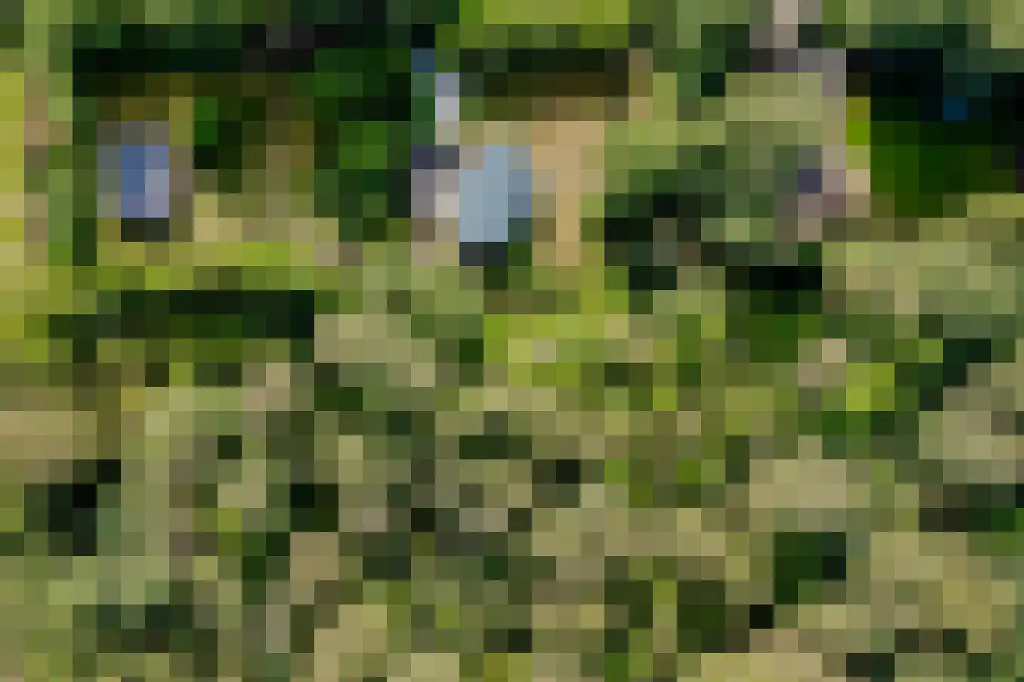 Koekangerveldweg 40 Koekange thumbnail 39
