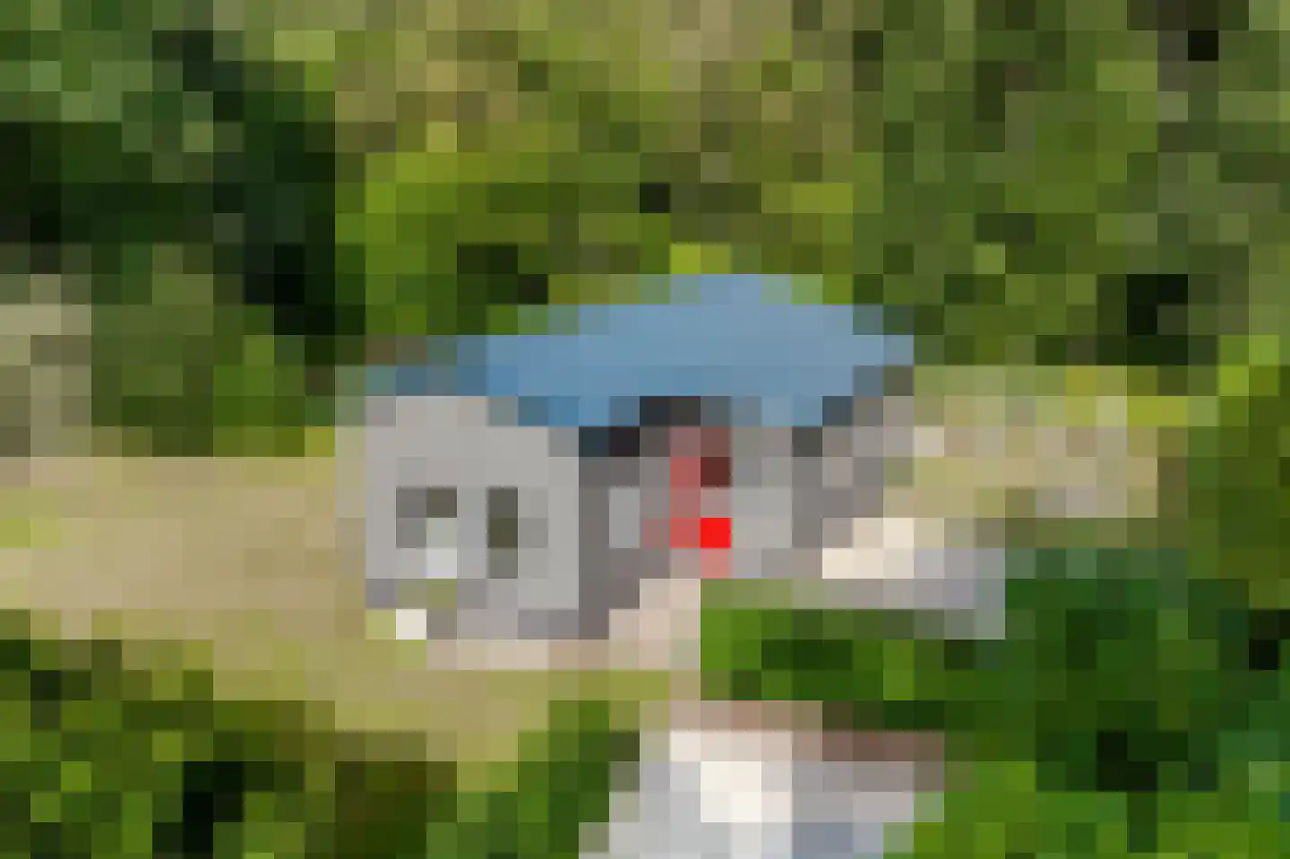 Koekangerveldweg 40 Koekange thumbnail 4