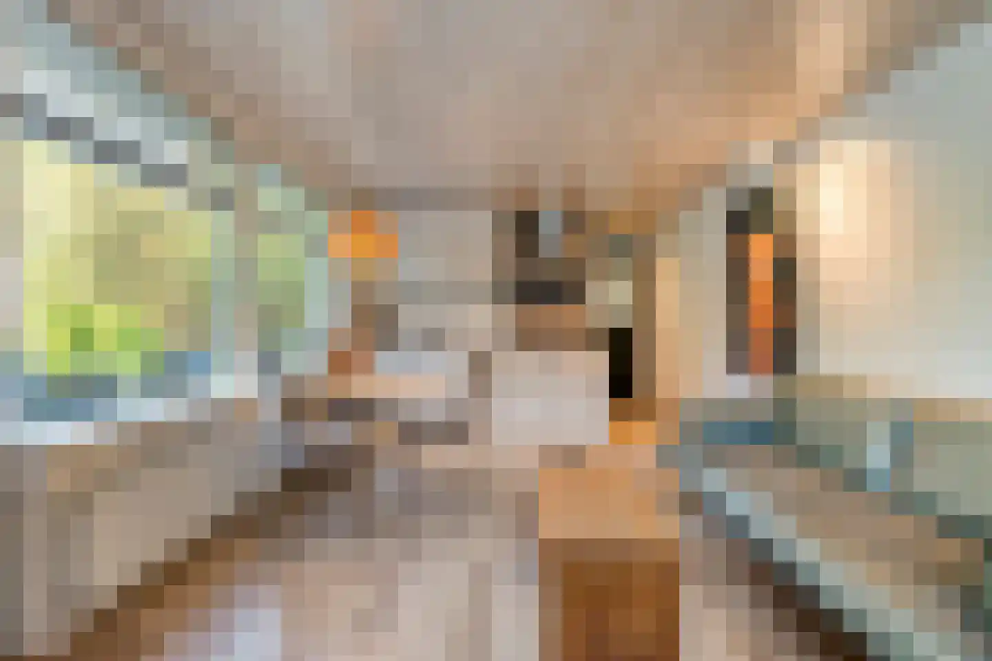 Koekangerveldweg 50 Koekange thumbnail 11