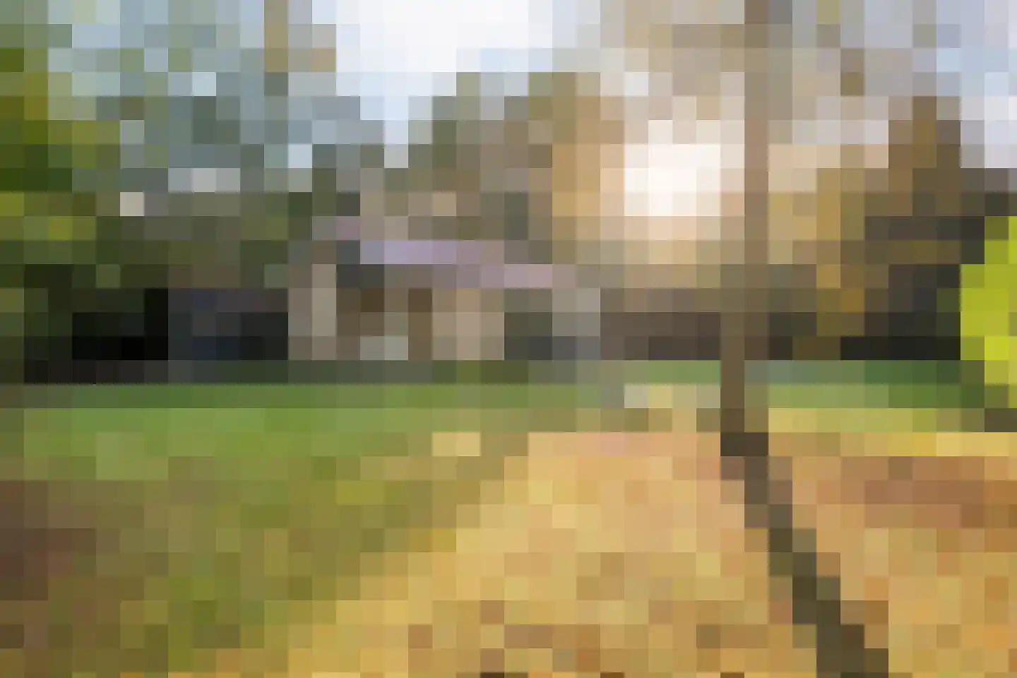 Koekangerveldweg 50 Koekange thumbnail 28