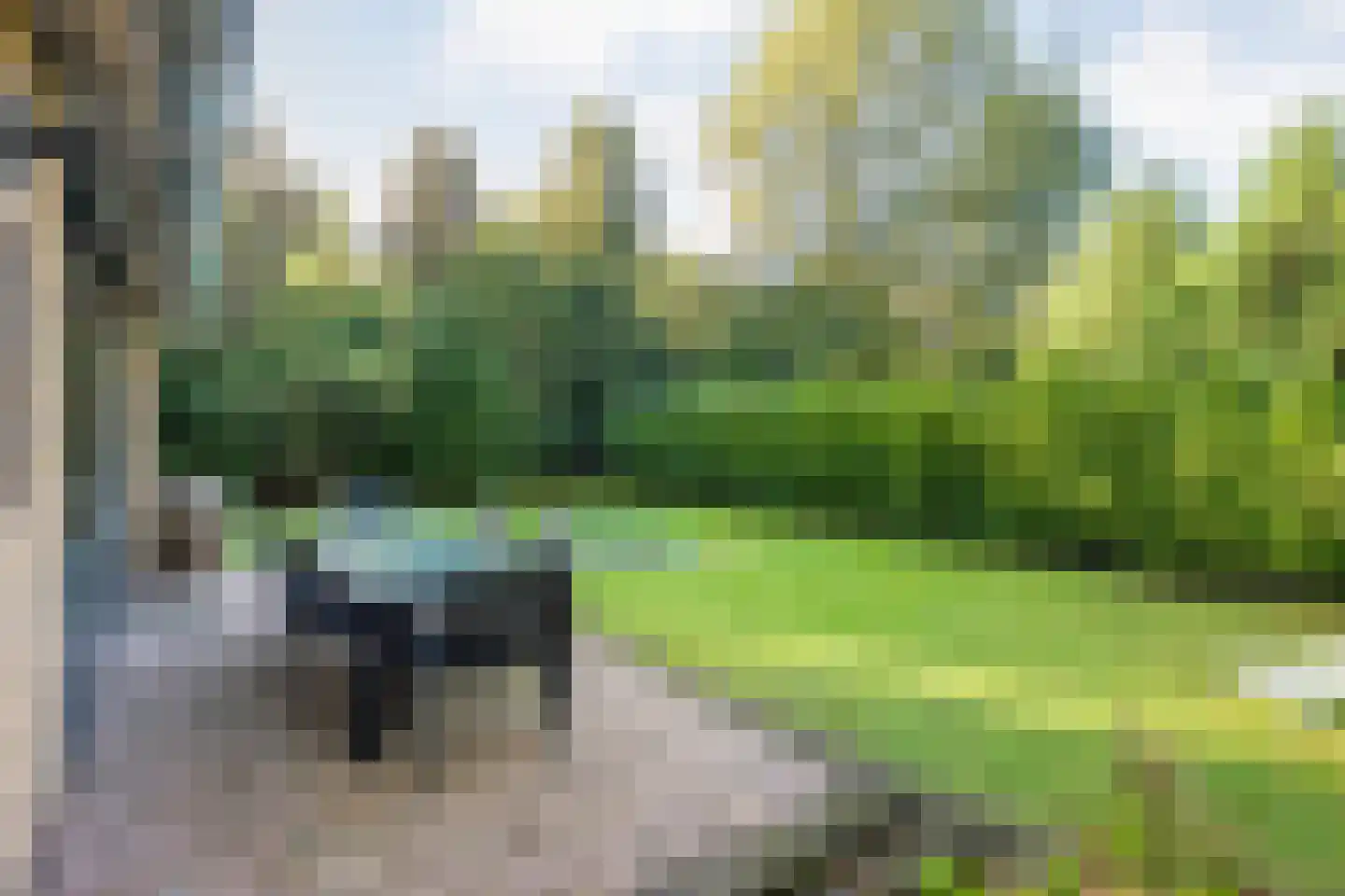 Koekangerveldweg 50 Koekange thumbnail 30