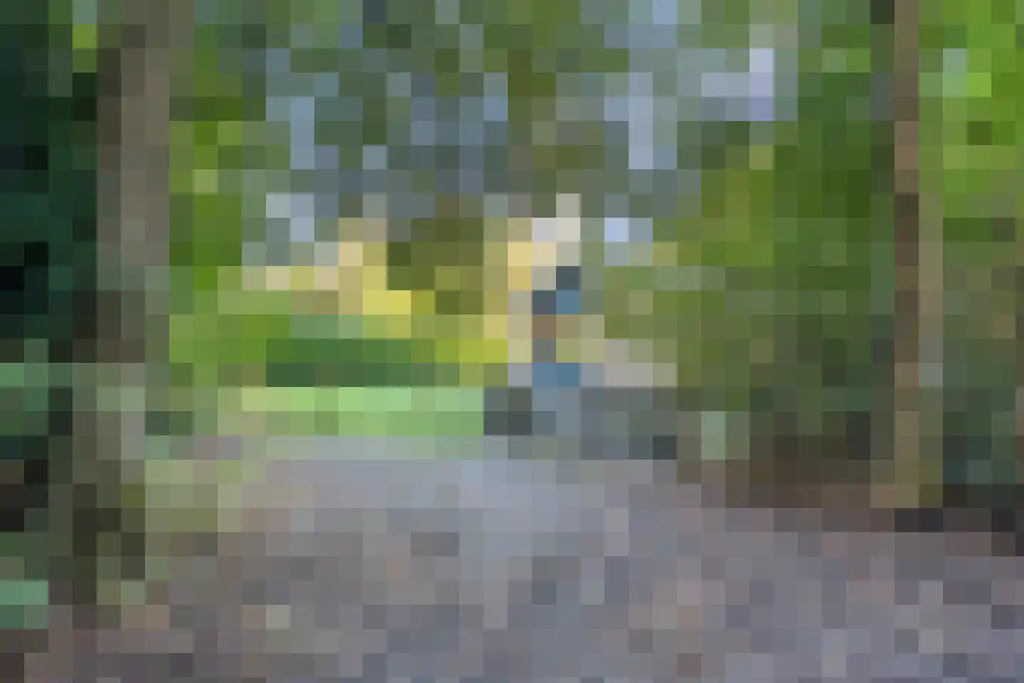 Koekangerveldweg 50 Koekange thumbnail 31