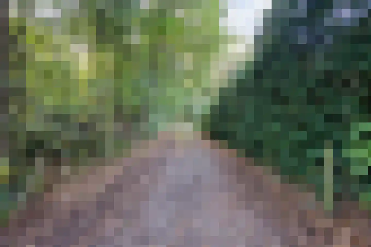 Koekangerveldweg 50 Koekange thumbnail 32