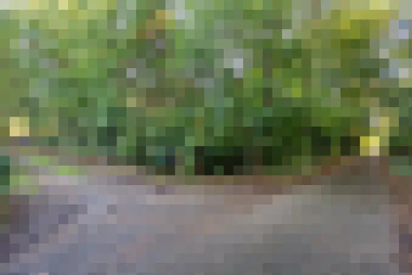 Koekangerveldweg 50 Koekange thumbnail 33