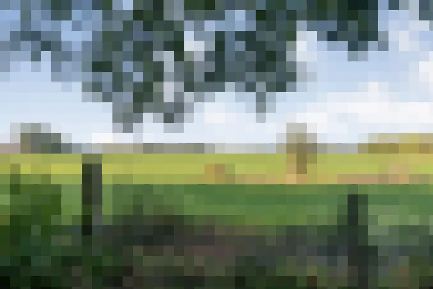 Koekangerveldweg 50 Koekange thumbnail 35