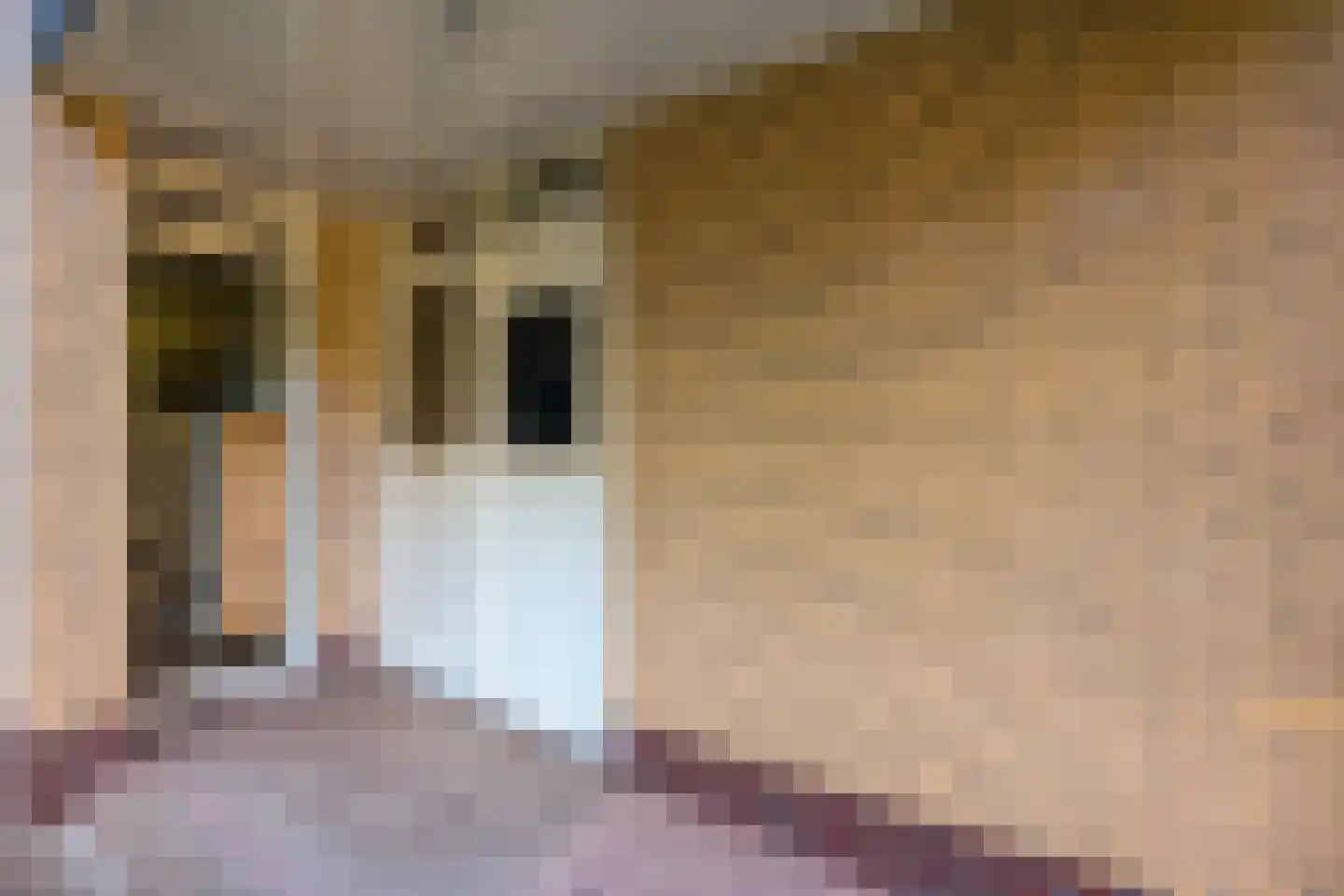 Koekangerveldweg 50 Koekange thumbnail 5