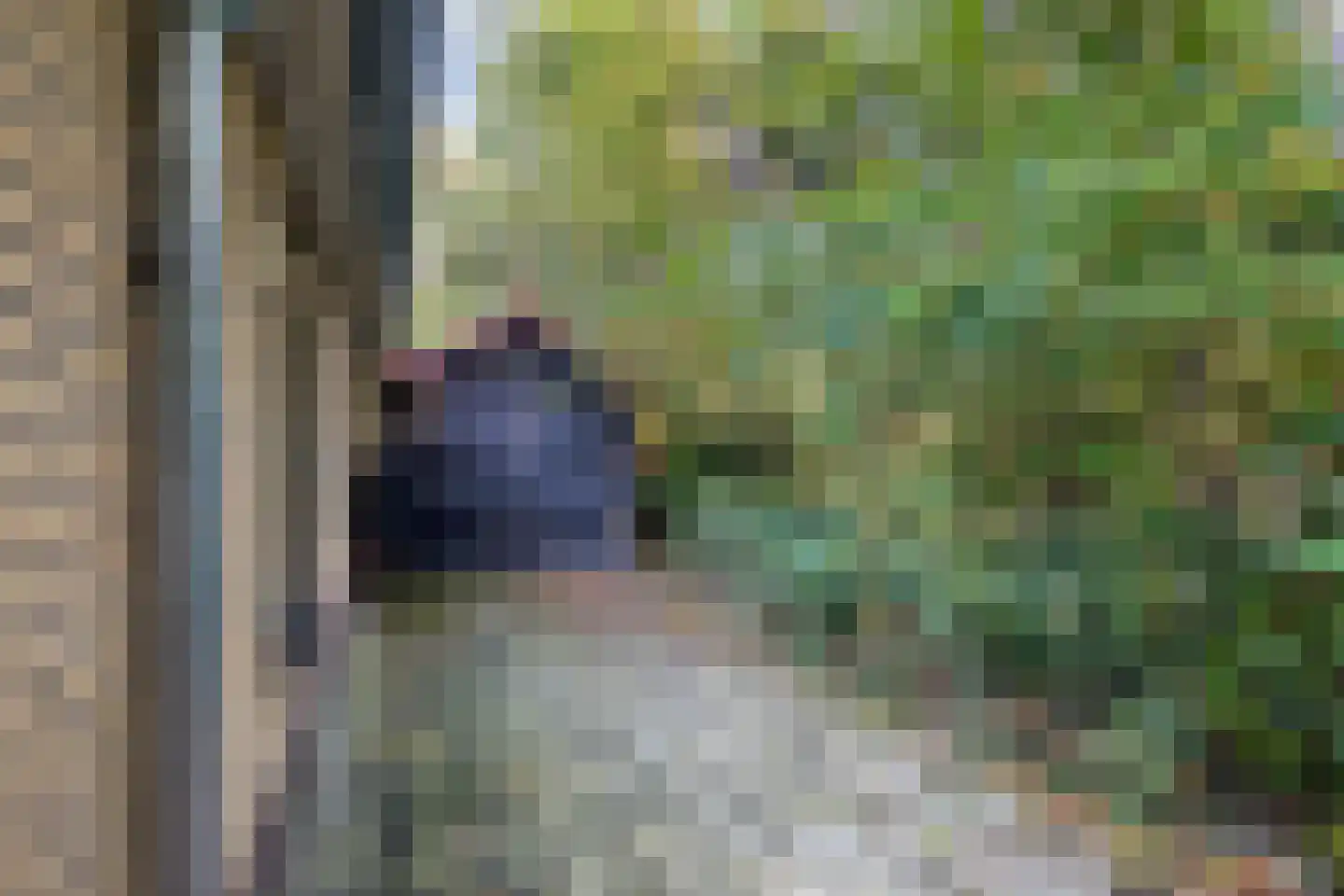 Koekangerveldweg 50 Koekange thumbnail 7