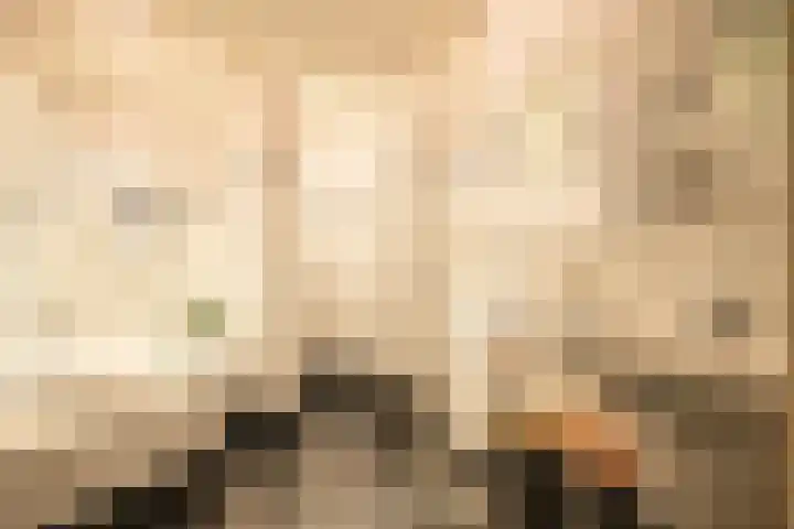 Koekangerweg 11 Ruinerwold thumbnail 12