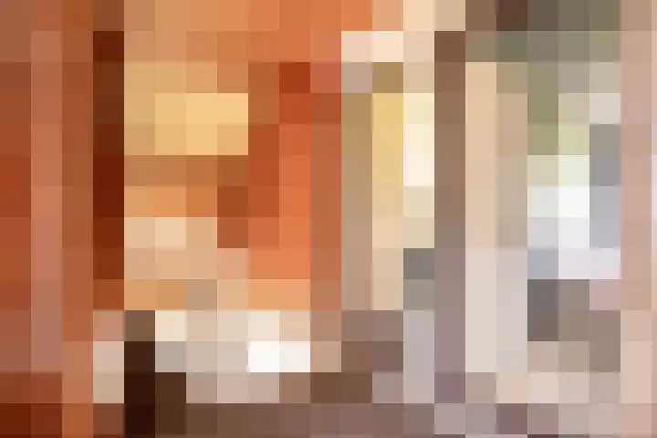 Koekangerweg 11 Ruinerwold thumbnail 16