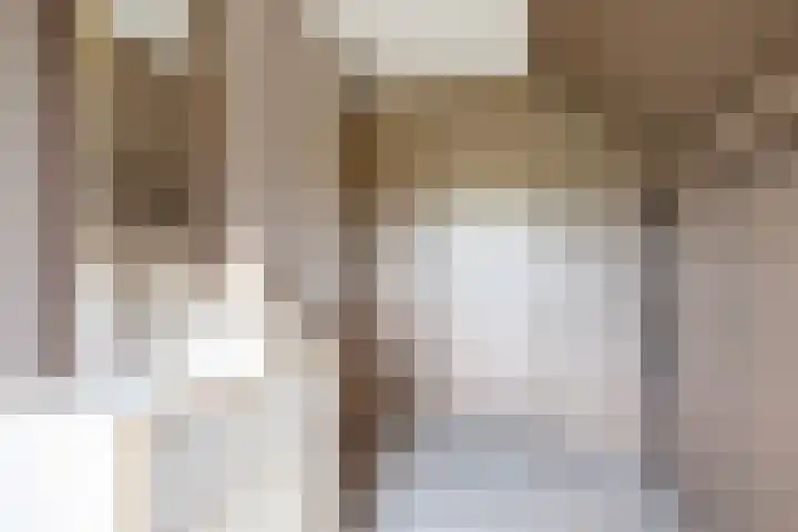 Koekangerweg 11 Ruinerwold thumbnail 20