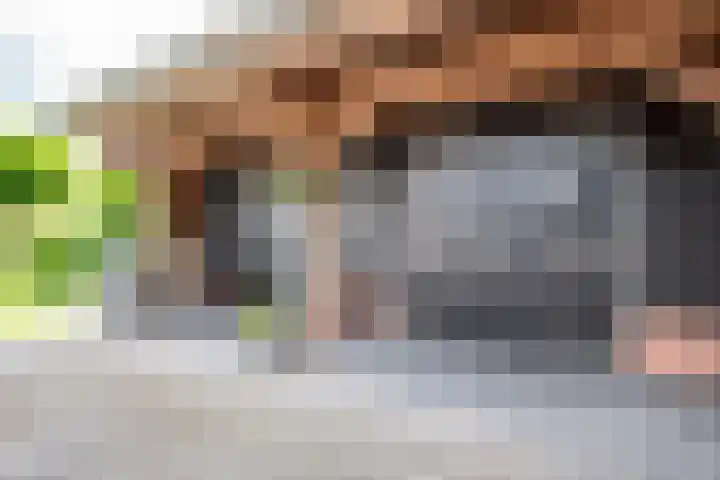 Koekangerweg 11 Ruinerwold thumbnail 22