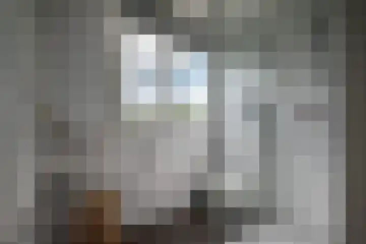 Koekangerweg 11 Ruinerwold thumbnail 27
