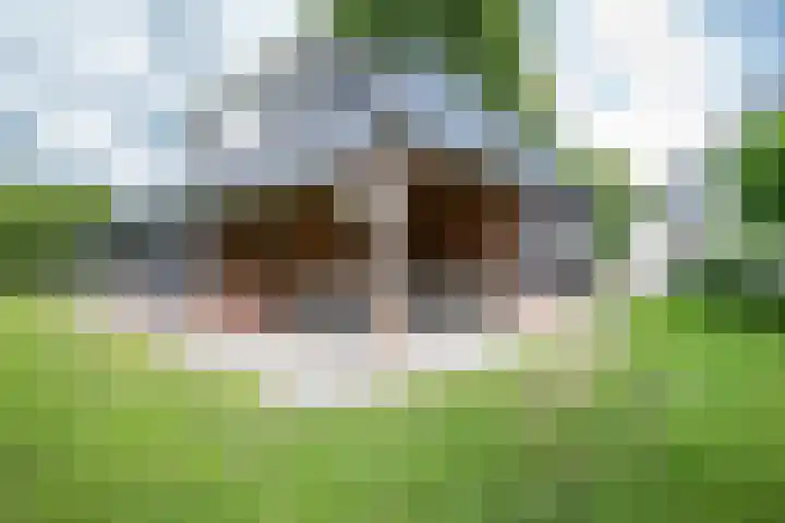 Koekangerweg 11 Ruinerwold thumbnail 30