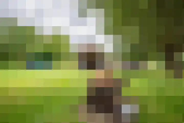 Koekangerweg 11 Ruinerwold thumbnail 32