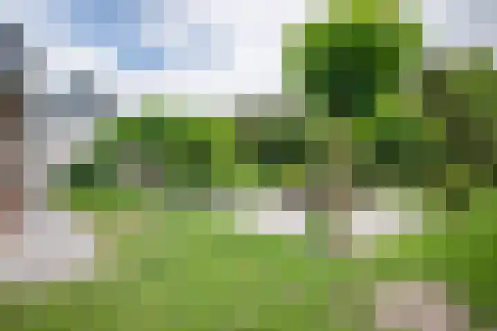 Koekangerweg 11 Ruinerwold thumbnail 33