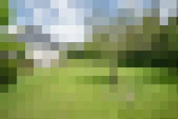 Koekangerweg 11 Ruinerwold thumbnail 34