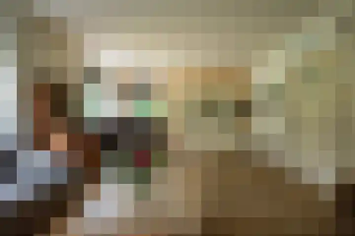 Koekangerweg 11 Ruinerwold thumbnail 6