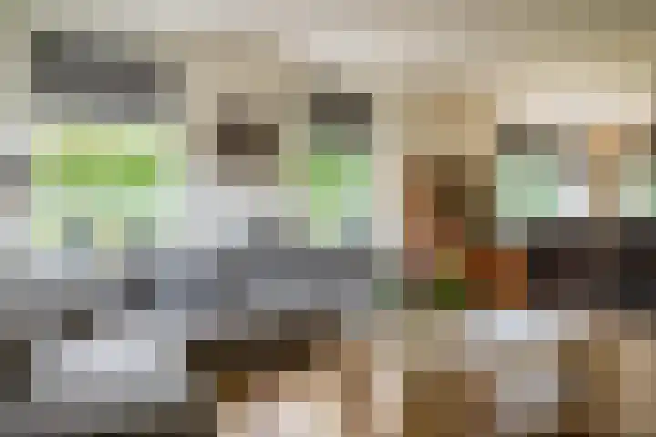 Koekangerweg 11 Ruinerwold thumbnail 7