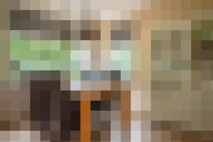 Koekangerweg 11 Ruinerwold thumbnail 8