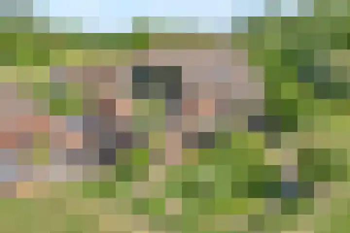 Koekangerweg 8 Echten