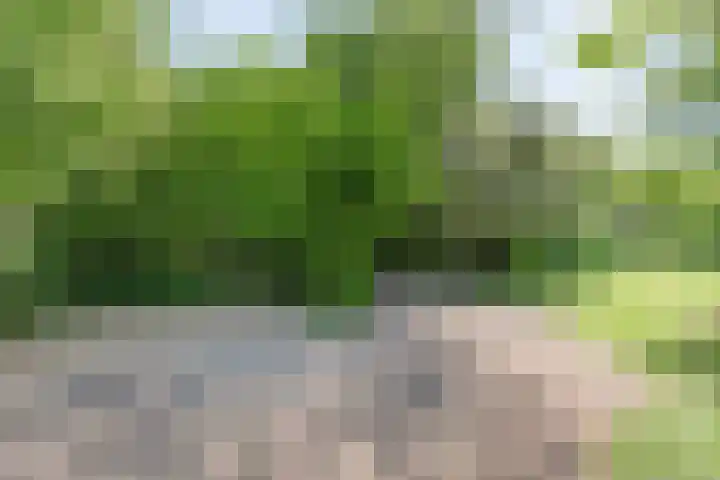 Koekangerweg 8 Echten thumbnail 100