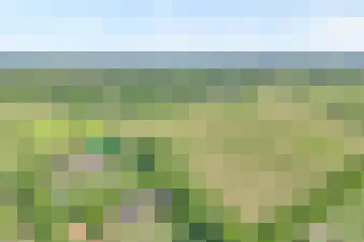 Koekangerweg 8 Echten thumbnail 101