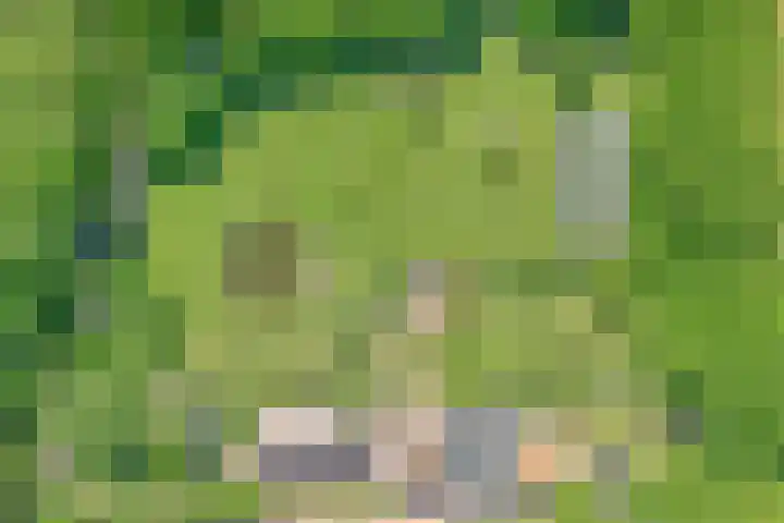 Koekangerweg 8 Echten thumbnail 4