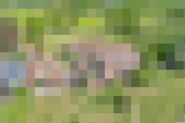 Koekangerweg 8 Echten thumbnail 5