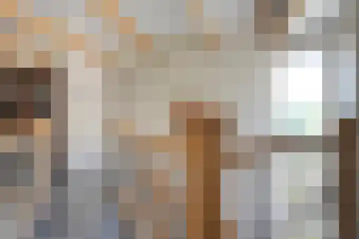 Koekangerweg 8 Echten thumbnail 56