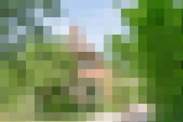 Koekangerweg 8 Echten thumbnail 6