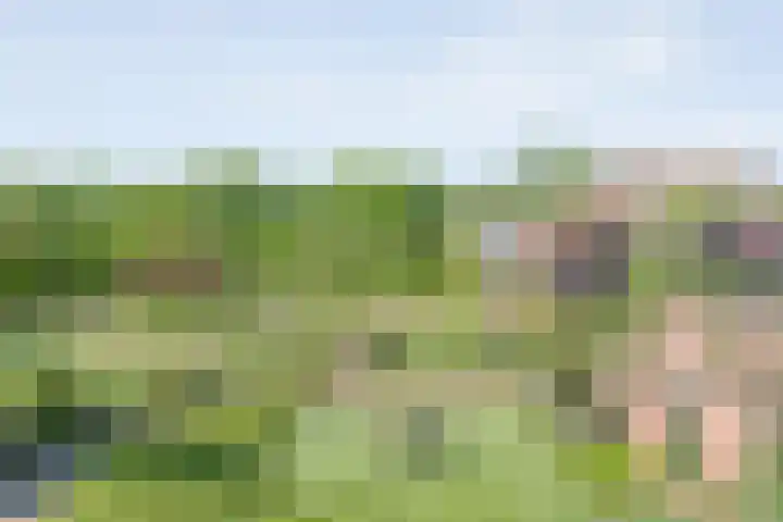 Koekangerweg 8 Echten thumbnail 68
