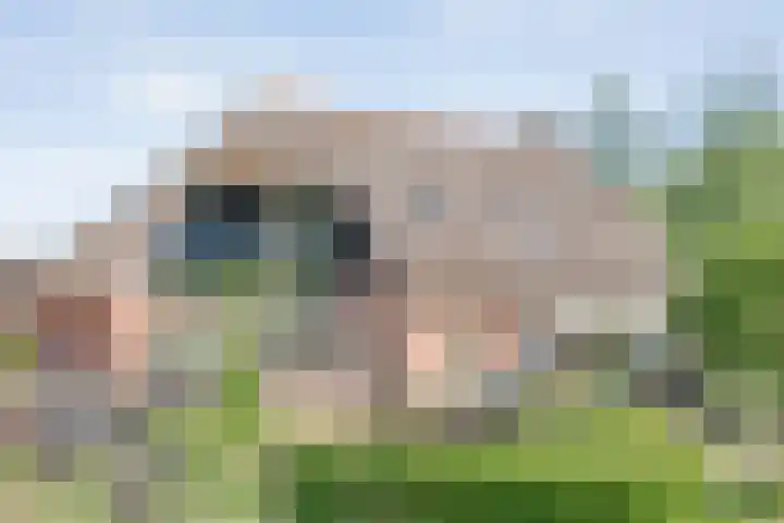 Koekangerweg 8 Echten thumbnail 70