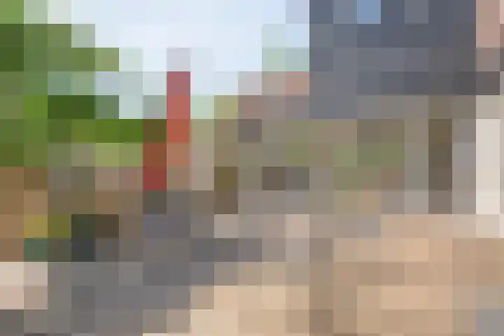 Koekangerweg 8 Echten thumbnail 71