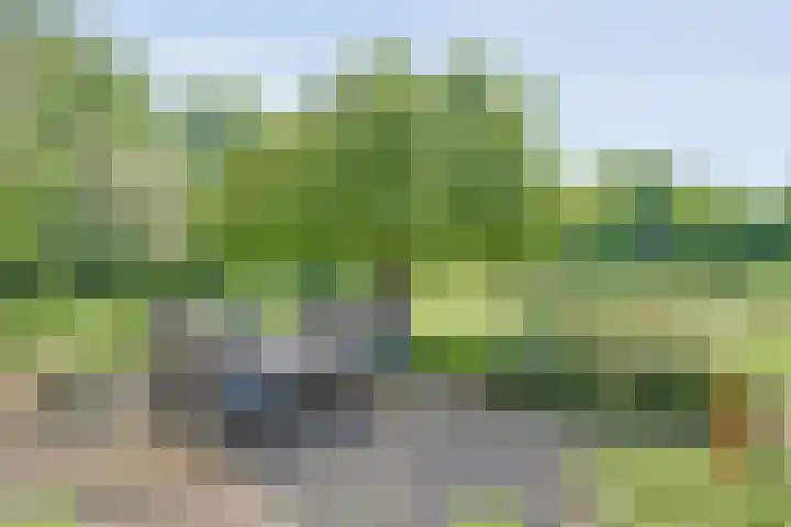 Koekangerweg 8 Echten thumbnail 74