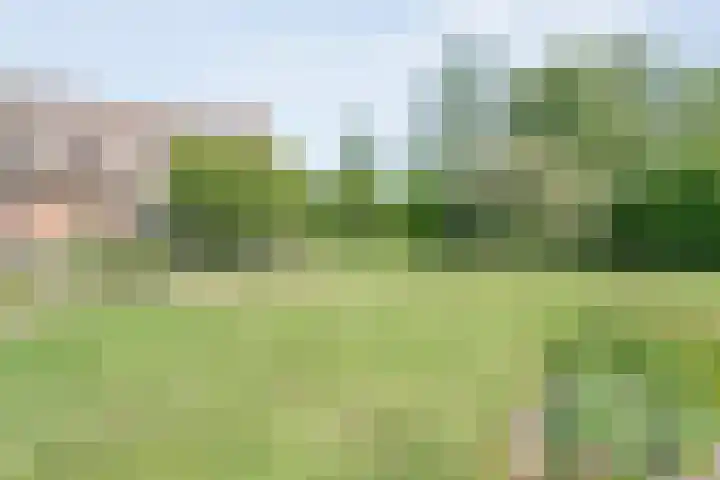 Koekangerweg 8 Echten thumbnail 81