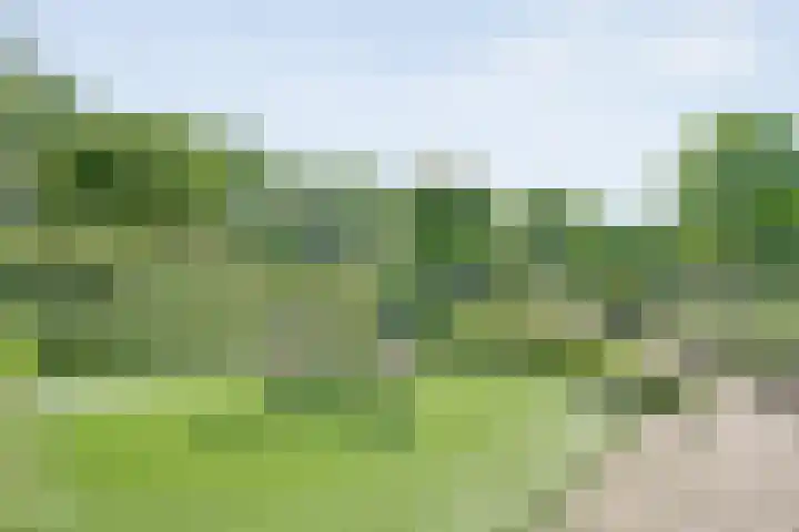 Koekangerweg 8 Echten thumbnail 82
