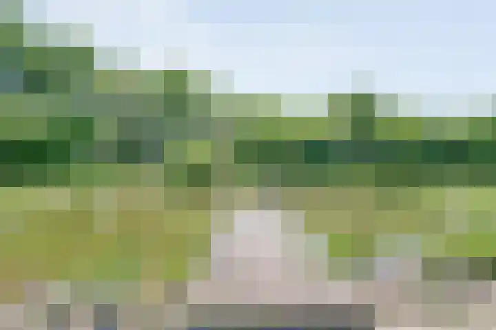 Koekangerweg 8 Echten thumbnail 83