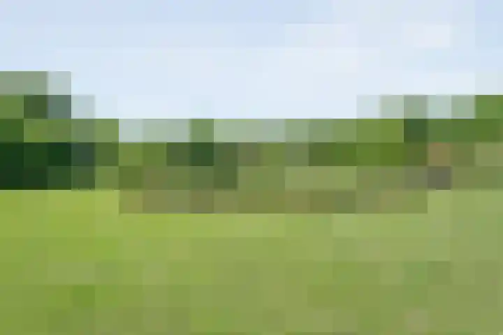 Koekangerweg 8 Echten thumbnail 84