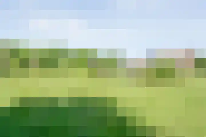 Koekangerweg 8 Echten thumbnail 85