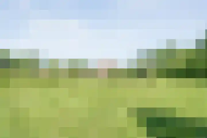 Koekangerweg 8 Echten thumbnail 86