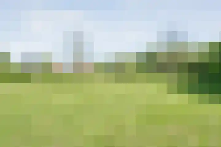 Koekangerweg 8 Echten thumbnail 87