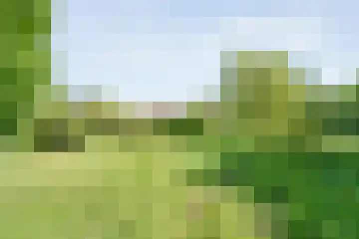 Koekangerweg 8 Echten thumbnail 88