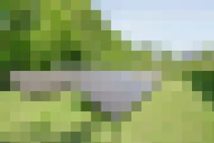 Koekangerweg 8 Echten thumbnail 89